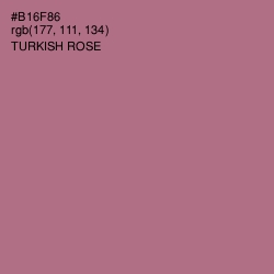 #B16F86 - Turkish Rose Color Image